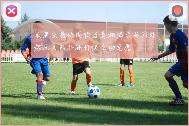 浓眉交易传闻背后真相揭示或因外部压力而非独行侠主动意愿