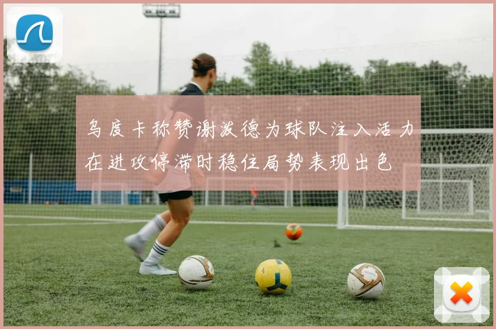 乌度卡称赞谢泼德为球队注入活力在进攻停滞时稳住局势表现出色