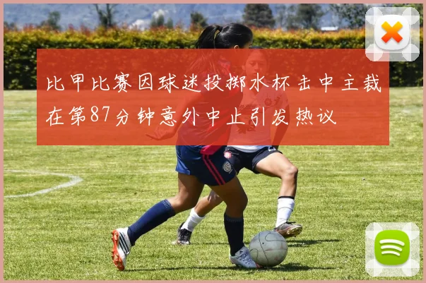 比甲比赛因球迷投掷水杯击中主裁在第87分钟意外中止引发热议