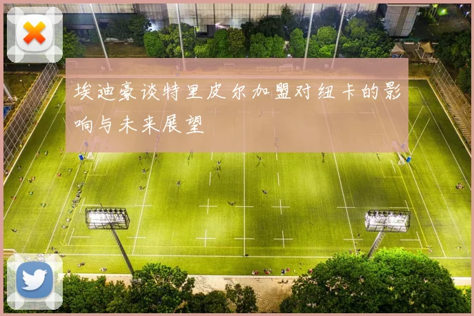 埃迪豪谈特里皮尔加盟对纽卡的影响与未来展望