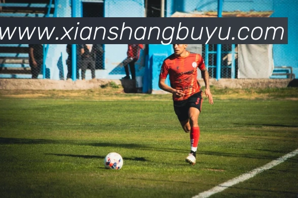 多媒体互动体验